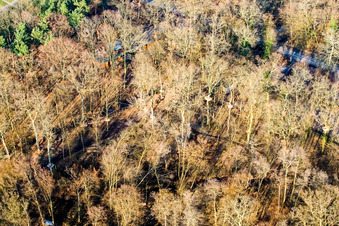 Fun Forest: Adventure Park Kandel in Kandel in the state Rhineland-Palatinate, Germany out of the air