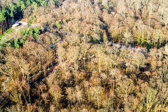 Fun Forest: Adventure Park Kandel in Kandel in the state Rhineland-Palatinate, Germany seen from above