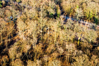 Fun Forest: Adventure Park Kandel in Kandel in the state Rhineland-Palatinate, Germany from the plane