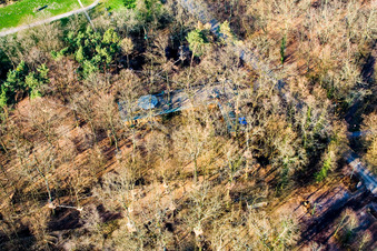 Fun Forest Adventure Park in Kandel in the state Rhineland-Palatinate, Germany