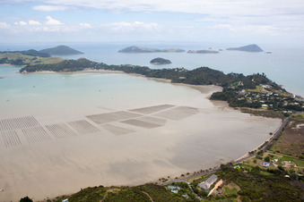 Oblique view of Coromandel in the state Waikato, New Zealand