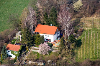 Haingasse in Dierbach in the state Rhineland-Palatinate, Germany