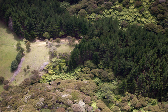 District Preece Point in Coromandel in the state Waikato, New Zealand from above