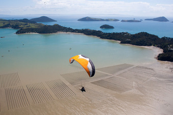 District Wyuna Bay in Coromandel in the state Waikato, New Zealand out of the air