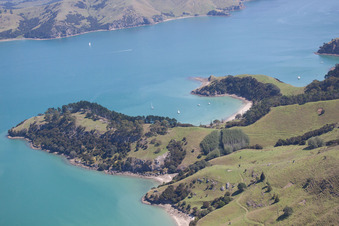 Whanganui Island in the state Waikato, New Zealand out of the air