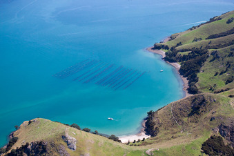 Whanganui Island in the state Waikato, New Zealand out of the air