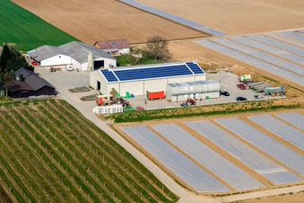 Farmer's Garden in Winden in the state Rhineland-Palatinate, Germany from above