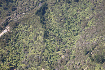 Coromandel in the state Waikato, New Zealand out of the air