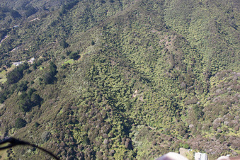 Coromandel in the state Waikato, New Zealand from the plane
