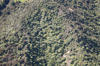 Coromandel in the state Waikato, New Zealand viewn from the air