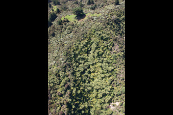 Coromandel in the state Waikato, New Zealand from the drone perspective