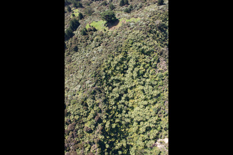 Coromandel in the state Waikato, New Zealand from a drone