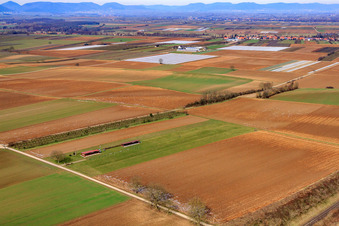 Model airfield of the model flying club Freckenfeld eV in Freckenfeld in the state Rhineland-Palatinate, Germany from above
