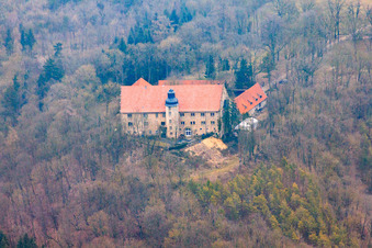 Aerial view of Bettenburg Castle and Ruins in the district Manau in Hofheim in Unterfranken in the state Bavaria, Germany