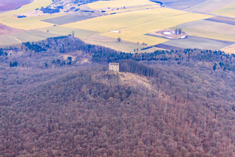 Remains of the walls of the former castle ruins Straufhain in the district Seidingstadt in Straufhain in the state Thuringia, Germany