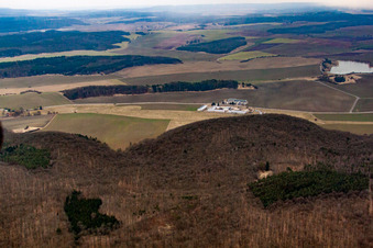 Info from the north in Westhausen in the state Thuringia, Germany