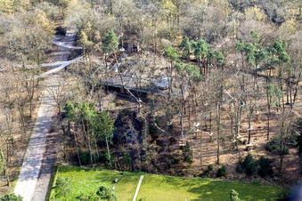 Funforest: Climbing park Kandel on Badalleé in Kandel in the state Rhineland-Palatinate, Germany