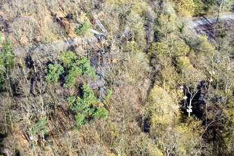 Oblique view of Funforest: Climbing park Kandel on Badalleé in Kandel in the state Rhineland-Palatinate, Germany
