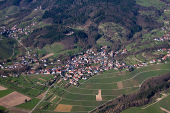 Aerial view of Village - view on the edge of wine yards in the district Neusatz in Buehl in the state Baden-Wurttemberg