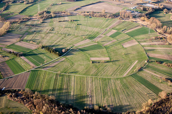 Structures on agricultural fields in the Rhine low lands near Au am Rheim in the state Baden-Wurttemberg