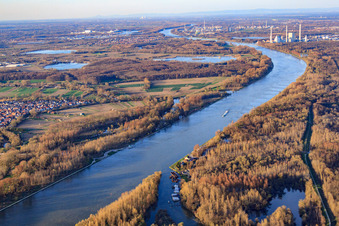 Aerial view of Mouth of the Auer Altrhein into the Rhine in Au am Rhein in the state Baden-Wuerttemberg, Germany