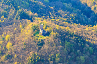 Aerial photograpy of Ramburg Castle Ruins in Ramberg in the state Rhineland-Palatinate, Germany