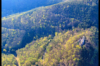 Meisteresel Castle Ruins in Ramberg in the state Rhineland-Palatinate, Germany