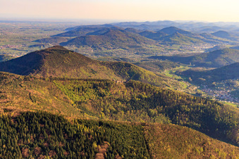 Neuscharfeneck Castle ruins from the north in Flemlingen in the state Rhineland-Palatinate, Germany