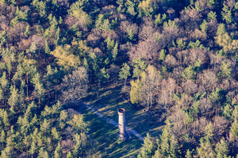Oblique view of Ludwig Tower in Rhodt unter Rietburg in the state Rhineland-Palatinate, Germany