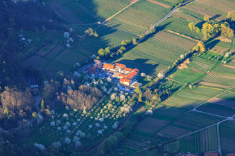 Wellness Hotel Alte Rebschule in spring in Rhodt unter Rietburg in the state Rhineland-Palatinate, Germany