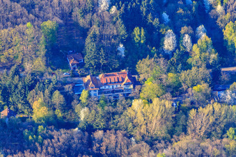 EW Villa Medica Germany in Edenkoben in the state Rhineland-Palatinate, Germany