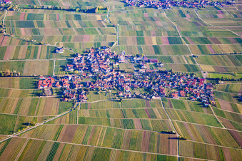 Wine-growing village between vineyards from the north in Hainfeld in the state Rhineland-Palatinate, Germany