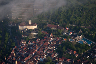 Castle of Schloss Horneck between clouds in Gundelsheim in the state Baden-Wurttemberg