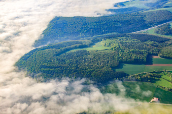 Fog in the Tauber Valley in Tauberbischofsheim in the state Baden-Wuerttemberg, Germany