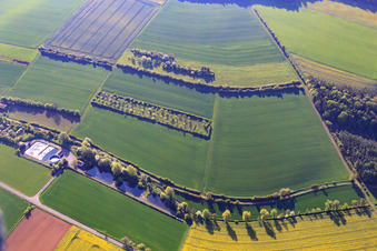 Fish pond at Grundgraben in Kleinrinderfeld in the state Bavaria, Germany