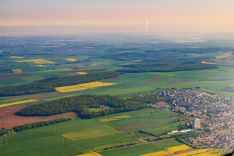 Grasswood in Rottendorf in the state Bavaria, Germany