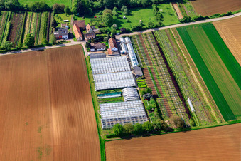 Oblique view of Nursery with greenhouses at Otterbach in Vollmersweiler in the state Rhineland-Palatinate, Germany