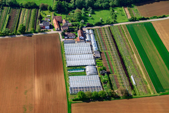 Nursery with greenhouses at Otterbach in Vollmersweiler in the state Rhineland-Palatinate, Germany from above
