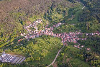 Place in the Palatinate Forest from the north in Schwanheim in the state Rhineland-Palatinate, Germany