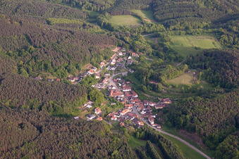 Place in the Palatinate Forest from the north in Darstein in the state Rhineland-Palatinate, Germany