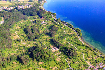 Burghalde, Hüneberg castle ruins and orchards around the Seven Churfirsten in Sipplingen in the state Baden-Wuerttemberg, Germany