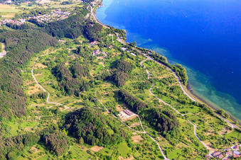 Aerial view of Burghalde, Hüneberg castle ruins and orchards around the Seven Churfirsten in Sipplingen in the state Baden-Wuerttemberg, Germany