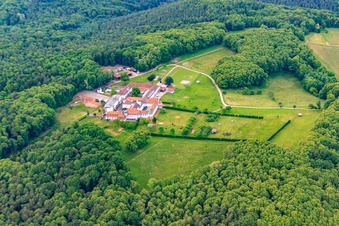 Horse boarding at Liebfrauenberg Monastery in Bad Bergzabern in the state Rhineland-Palatinate, Germany from above