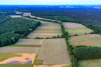 Aerial photograpy of Bruchbach-Otterbach lowlands in Kandel in the state Rhineland-Palatinate, Germany