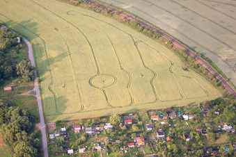 No crop circles but evasive tracks through power poles in the district Bad Suderode in Quedlinburg in the state Saxony-Anhalt, Germany
