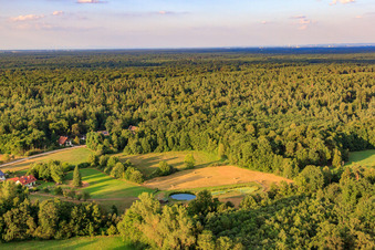 Aerial view of Meadow clearings near Bienwaldmühle in Scheibenhardt in the state Rhineland-Palatinate, Germany