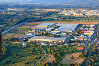 Heinkelstraße industrial estate with IHLE tires GmbH - tire wholesale, Prologis Germany Management GmbH and Rhenus Logistics in Muggensturm in the state Baden-Wuerttemberg, Germany