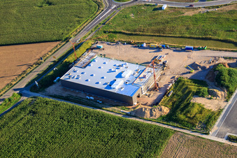 Oblique view of New building for TRANSAC International Speditionsgesellschaft mbH in Rülzheim in the state Rhineland-Palatinate, Germany