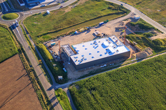 New building for TRANSAC International Speditionsgesellschaft mbH in Rülzheim in the state Rhineland-Palatinate, Germany from above