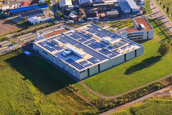 Bird's eye view of DBK David + Baader GmbH in Rülzheim in the state Rhineland-Palatinate, Germany